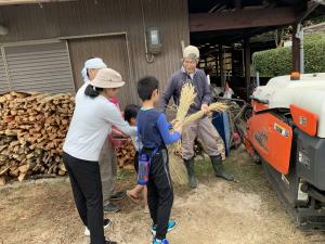 脱穀体験の様子