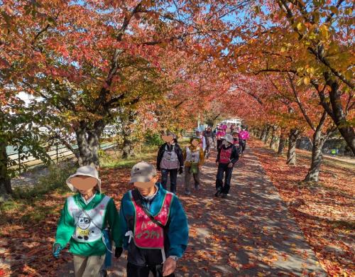 ウォーキング講座3