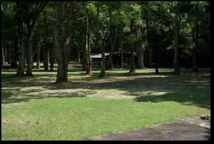 包ヶ浦自然公園サイト1