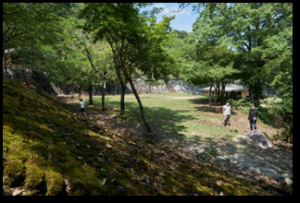 包ヶ浦自然公園サイト2