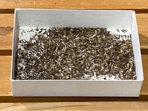 コスモス11月26日.2