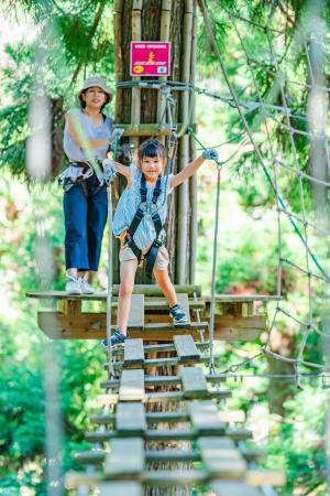 フォレストアドベンチャーのアクティビティ写真