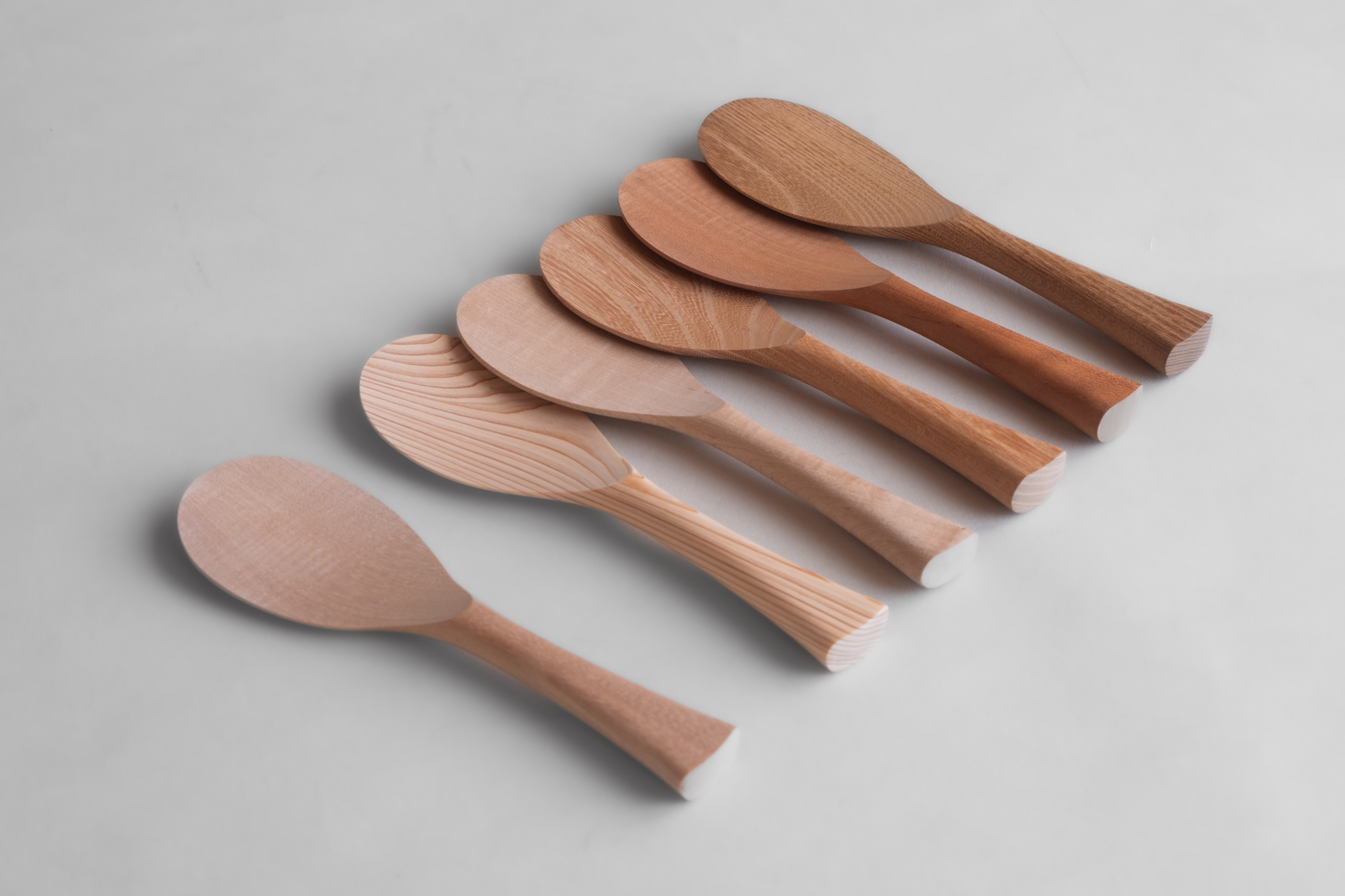 しゃくしのしゃしん