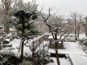 積雪2