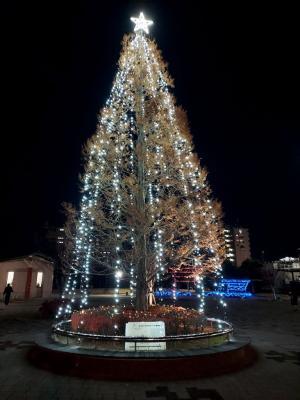 イルミネーションツリー