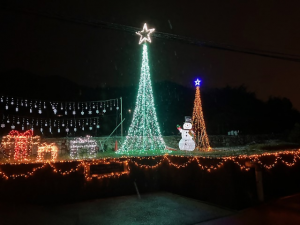 ハラっぱイルミネーション