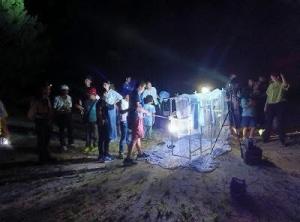 ライトトラップ