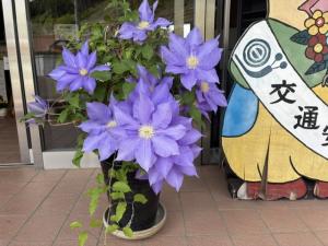 テッセン1