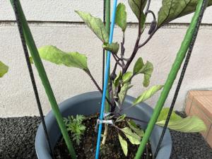 5月23日.6