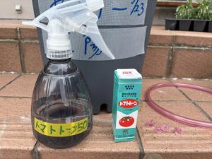 トマトトーン1