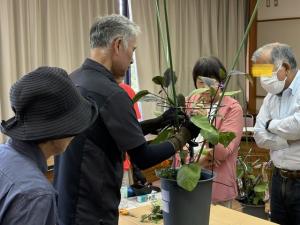6月13日.4