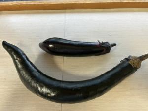 ナス2本