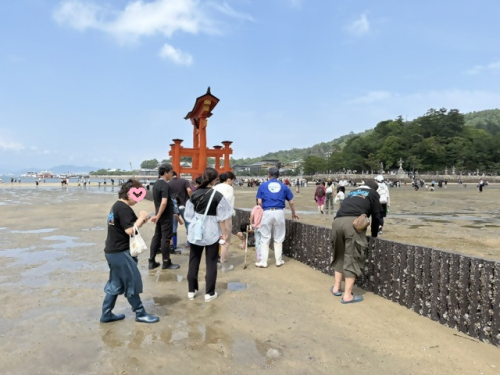 干潟