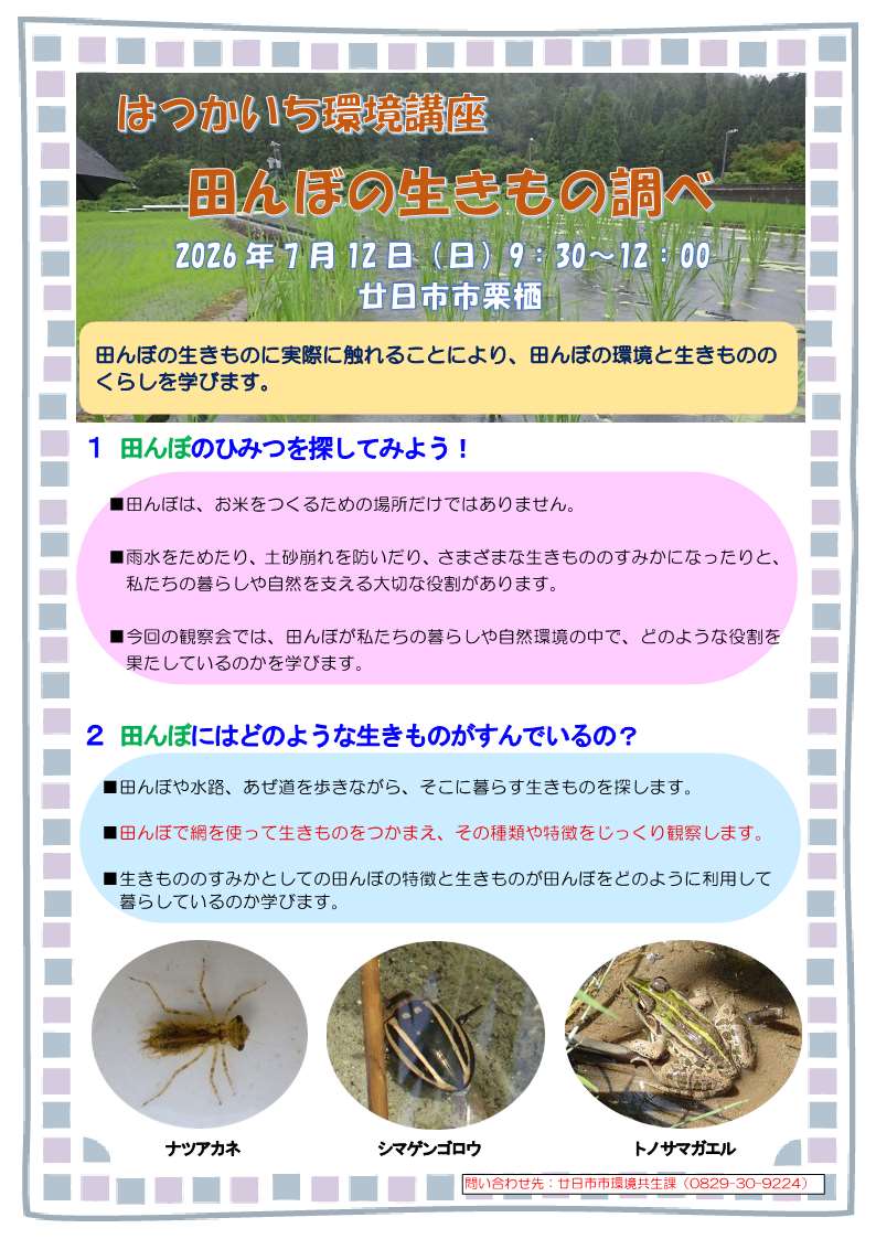 概要:田んぼの生き物調べ