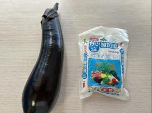 7月10日.2