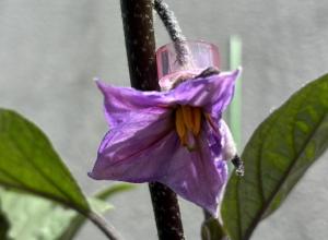 7月13日.1