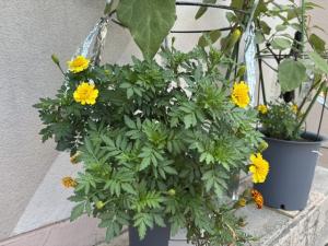 8月19日.2