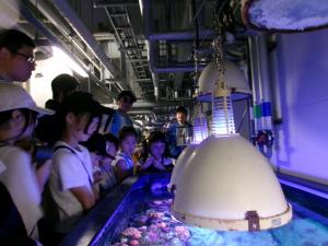 宮島水族館