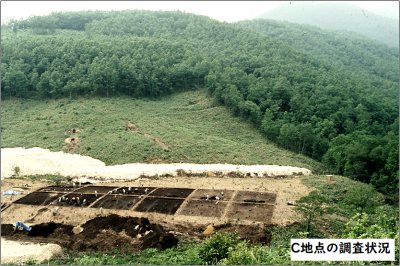 C地点の調査状況
