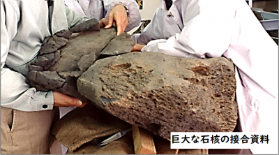 巨大な石核の接合作業