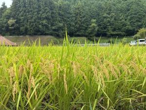 歩こう9月8日.2