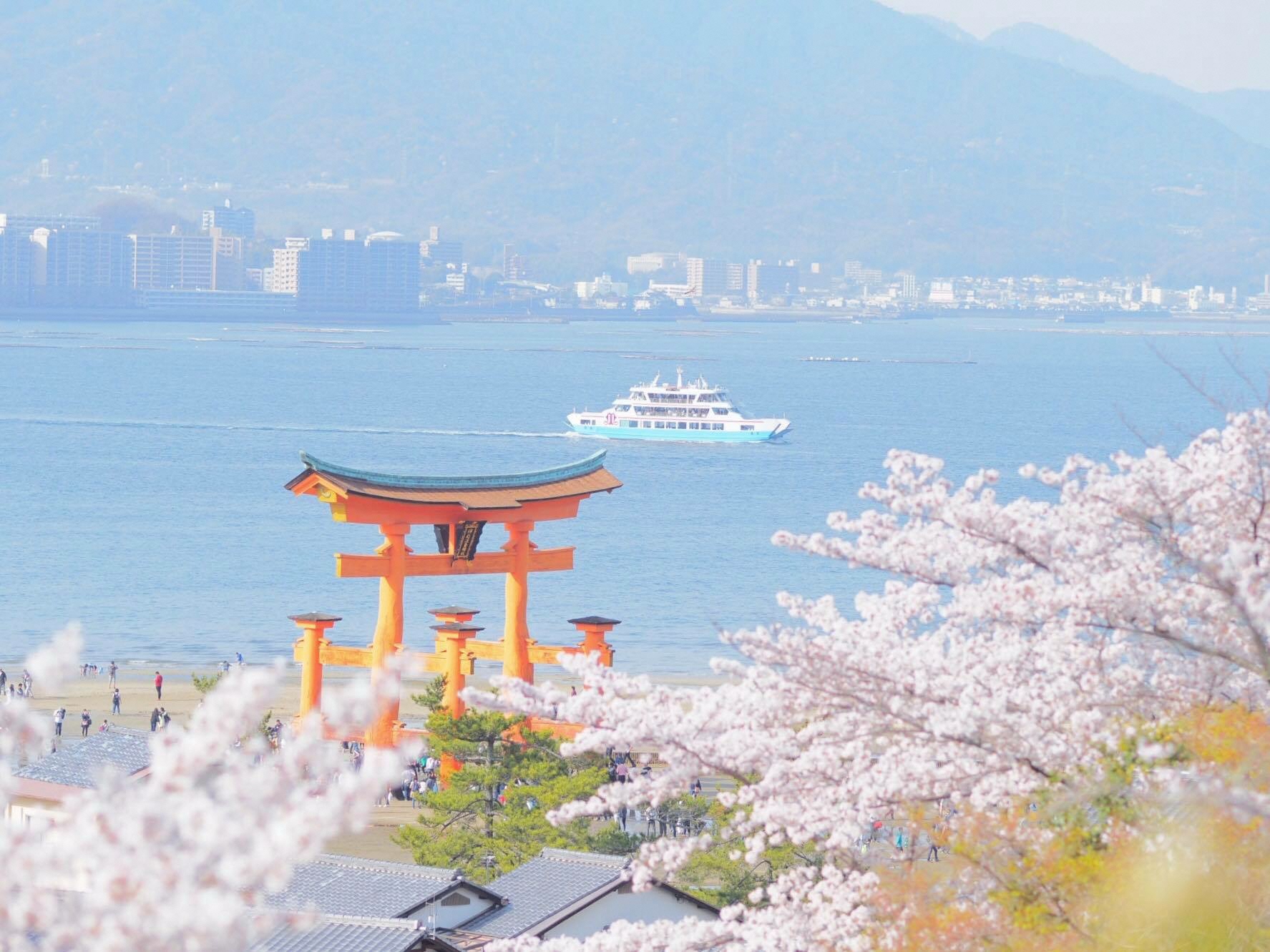 宮島と桜