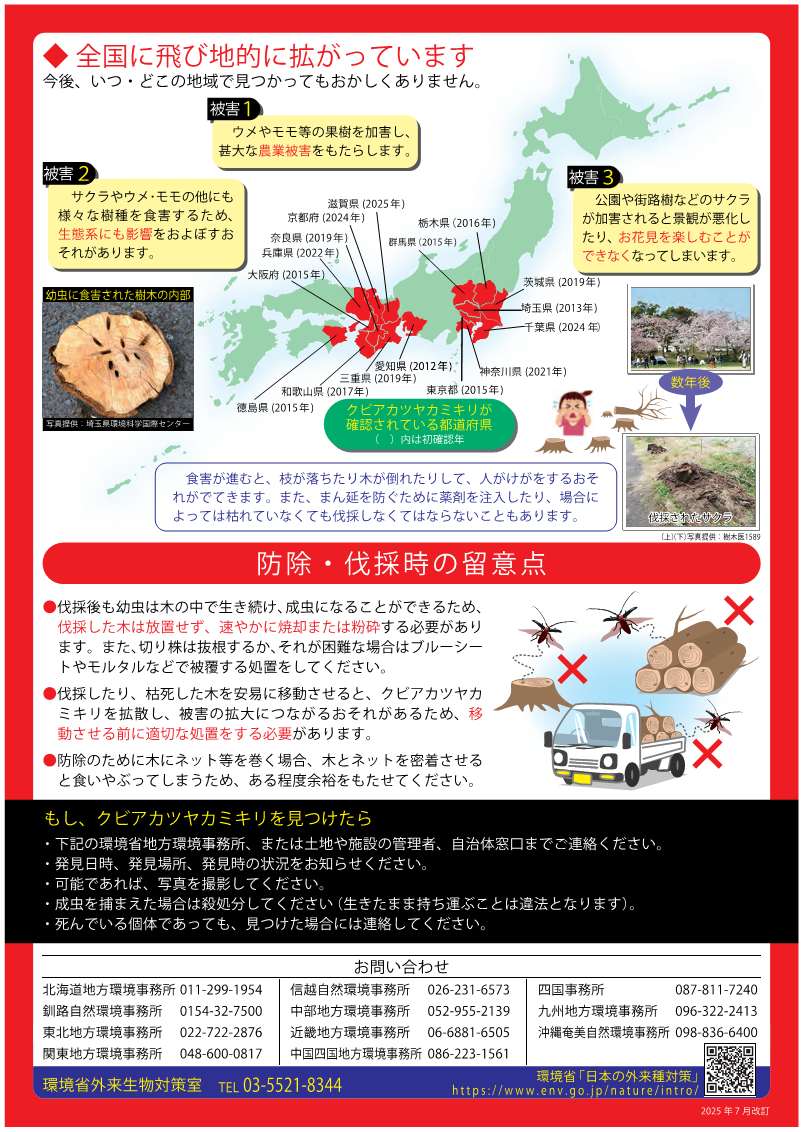 案内