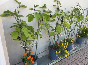 9月30日.1