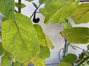 10月9日.1