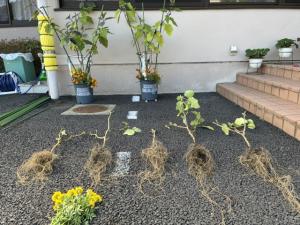 片付け4