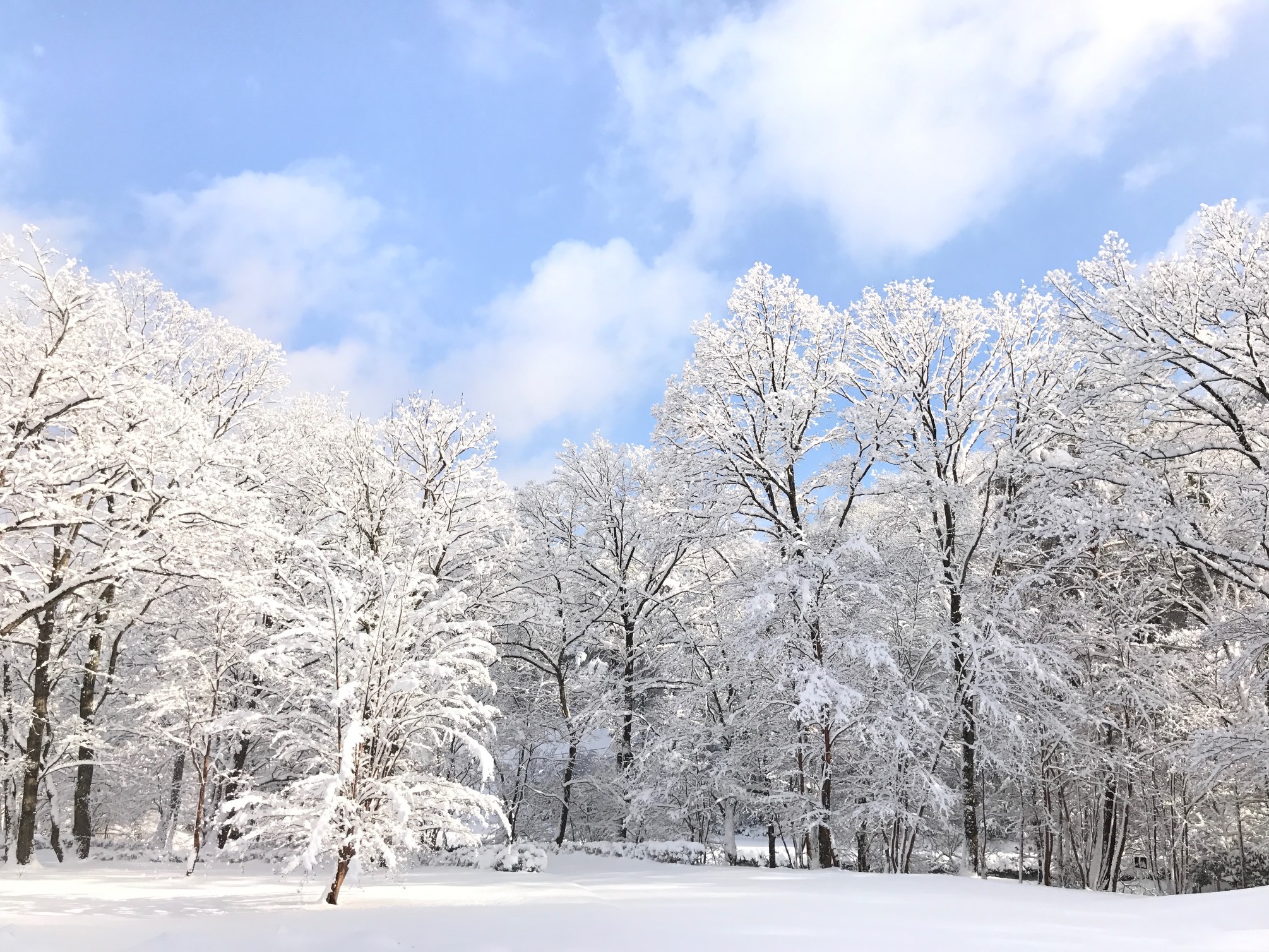 雪景色