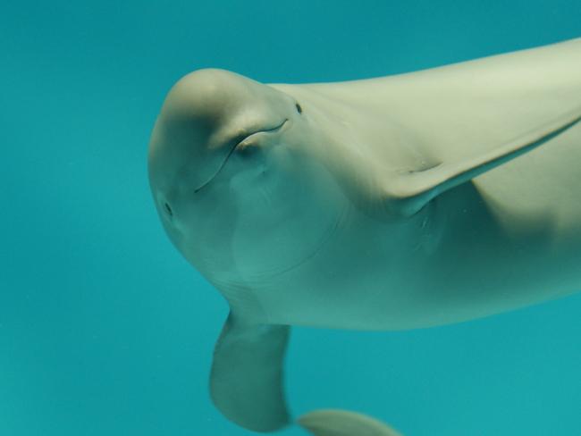 宮島水族館