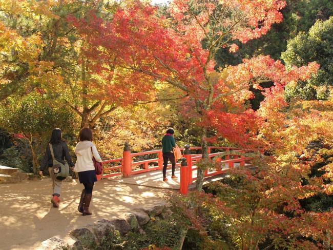 紅葉谷公園