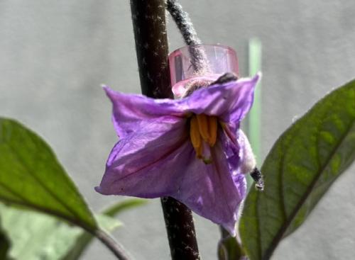 7月13日.1