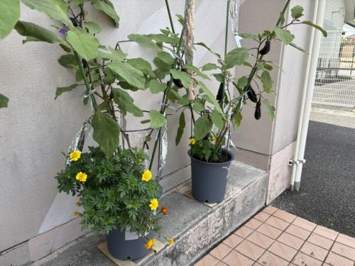 8月19日.1